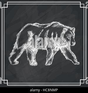 white bear sketch dark background Stock Vector