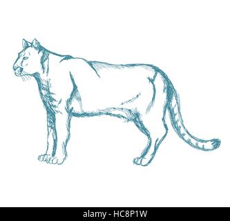 panther sketch blue vintage Stock Vector