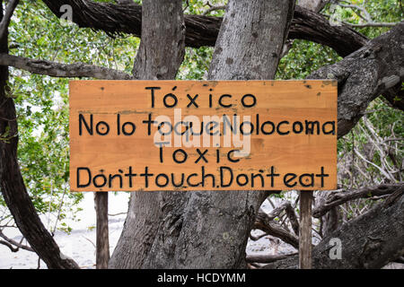 Warning sign of toxic plants and  manchineel trees on Playa Matapalo, Guanacaste, Costa Rica Stock Photo