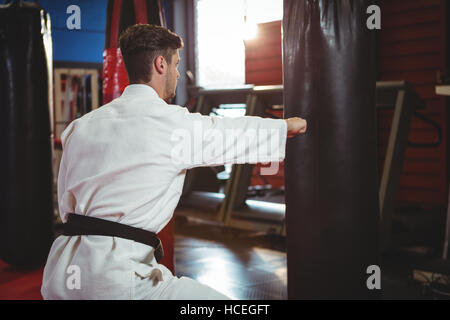 Karate player punching a boxing bag Stock Photo