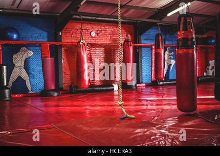 Punching bags and rope in fitness studio Stock Photo