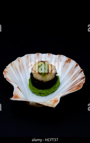 Pan-fried scallop in the shell served with black pudding and crushed pea puree Stock Photo