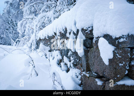 A winter landscape image of a dry stone boundary wall covered in deep snow. Stock Photo