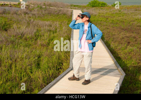 Boardwalk birding, Aransas National Wildlife Refuge, Texas Stock Photo