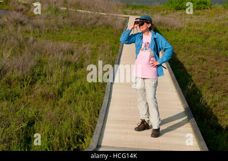 Boardwalk birding, Aransas National Wildlife Refuge, Texas Stock Photo