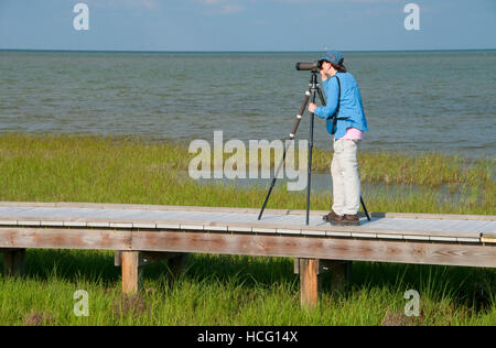 Boardwalk birding, Aransas National Wildlife Refuge, Texas Stock Photo