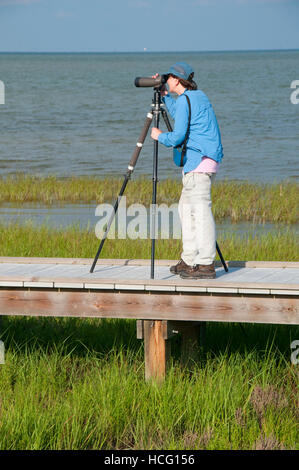 Boardwalk birding, Aransas National Wildlife Refuge, Texas Stock Photo