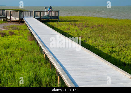 Boardwalk birding, Aransas National Wildlife Refuge, Texas Stock Photo