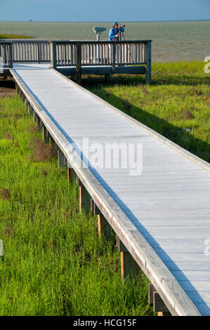 Boardwalk birding, Aransas National Wildlife Refuge, Texas Stock Photo