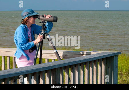 Boardwalk birding, Aransas National Wildlife Refuge, Texas Stock Photo