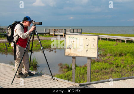 Boardwalk birding, Aransas National Wildlife Refuge, Texas Stock Photo