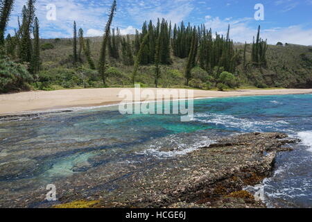 Beach in New Caledonia, Turtle bay, Bourail, Grande Terre, south Pacific Stock Photo