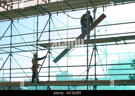 Workmen erecting scaffolding to create a large, weatherproof structure over a school in Sutton, UK. Safety harnesses in use. Stock Photo