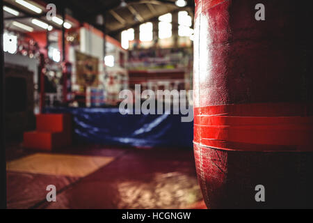 Punching bags in fitness studio Stock Photo