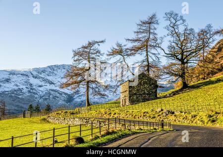 Hillside of Langdale, English Lake District, UK Stock Photo