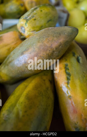 Close-up of papayas Stock Photo