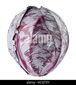 purple cabbage isolated on the white background. Stock Photo