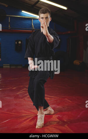 Karate player performing karate stance Stock Photo