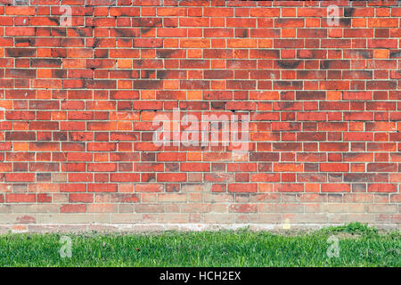 Red brick wall and grass for background use Stock Photo