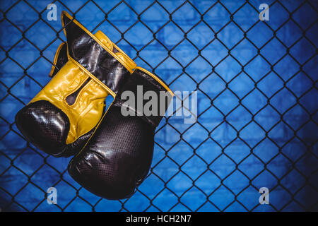 Pair of boxing gloves hanging on wire mesh fence Stock Photo