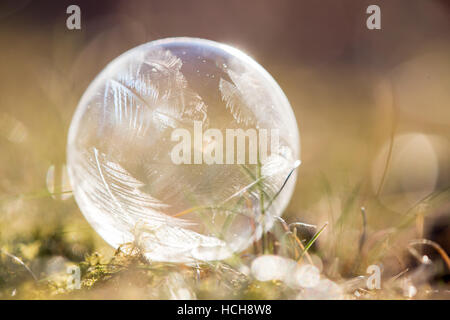 Icy soap bubble glowing in bright light with icy patterns on a grassy and mossy ground Stock Photo