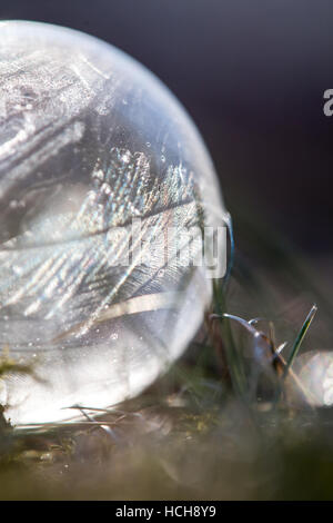 Feathery pattern of ice on a frozen soap bubble in grass Stock Photo
