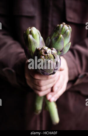 Man's hands holding artichokes Stock Photo