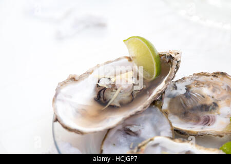 Partially cooked opened oysters shells served on glass plate with ginger and a piece of lemon on the side, Santa Catarina, Brazil Stock Photo