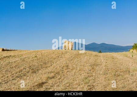 Round straw bales in harvested fields and blue sky in Tuscany, Italy Stock Photo