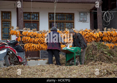 Two farmers spearating soya beans from the plants and pods with a machine outside their rural home in southwest China. Stock Photo