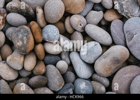 Pebbles on a beach. Stock Photo
