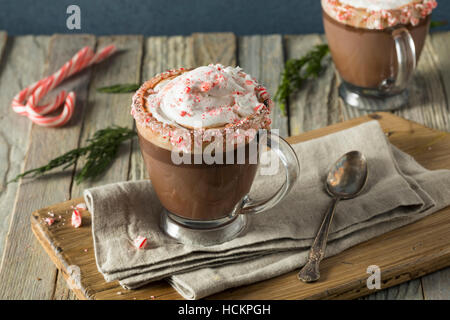 Homemade Peppermint Hot Chocolate with Whipped Cream Stock Photo