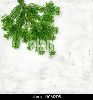 Christmas tree branches on bright stone background. Evergreen twigs on marble texture Stock Photo