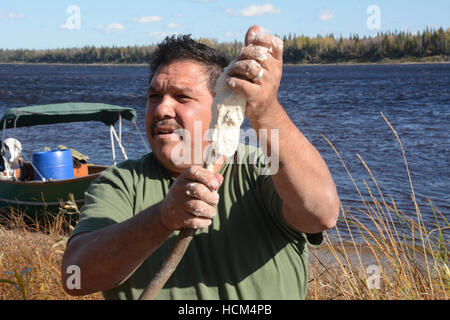 An indigenous man making bannock on a stick, a native North American food similar to bread, in Northern Ontario, Canada. Stock Photo