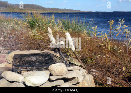 Bannock on a stick, a native North American food similar to bread, cooked on a campfire in Northern Ontario, Canada. Stock Photo