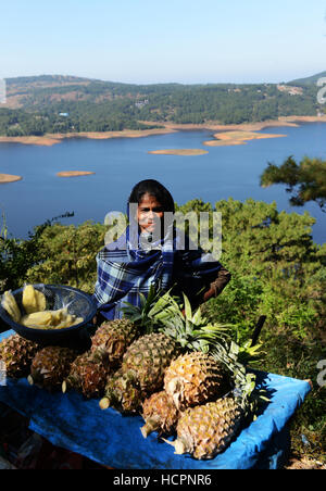 Fresh pineapples sold by Umiam Lake near Shillong, India. Stock Photo