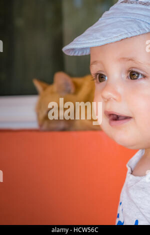 Portrait of a happy little boy looking curiously at a cat Stock Photo
