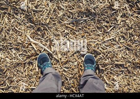 Male feet in blue sport shoes standing on dry coastal cane stalks ground Stock Photo