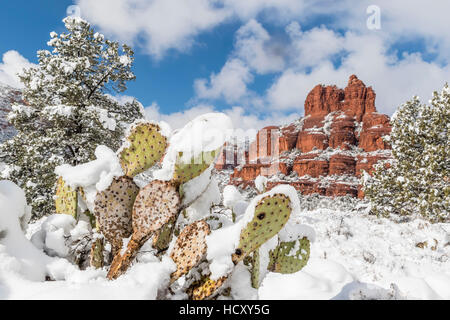 Bell Rock after a snow storm near Sedona, Arizona, USA Stock Photo