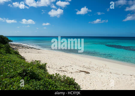 Beautiful white sand beach and turquoise water in Providenciales, Turks and Caicos, Caribbean Stock Photo