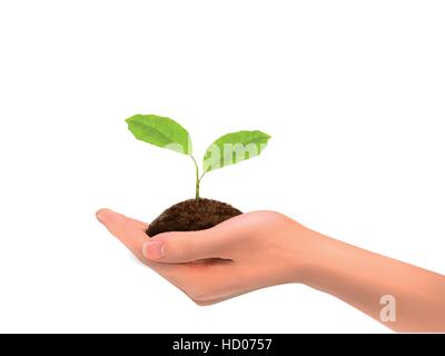 realistic hand holding plant isolated on white background Stock Vector