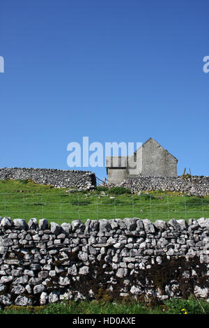 Dry stone wall in Malham cove , North Yorkshire, England, UK. Stock Photo