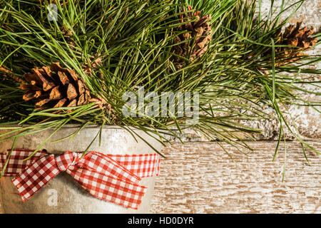 Pine branches with cones in zinc bucket close-up, instagram effect. Stock Photo