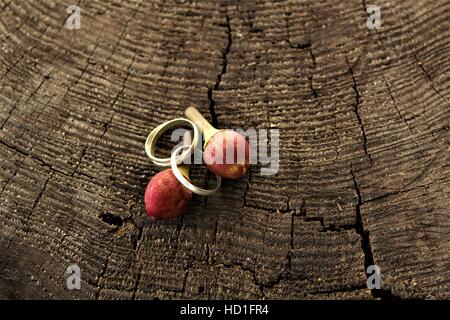 Two red berries Stock Photo