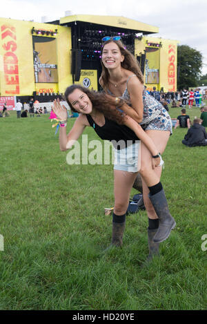 Leeds Festival 2016  Featuring: Atmosphere, Guest Where: Bramham Park, United Kingdom When: 26 Aug 2016 Stock Photo