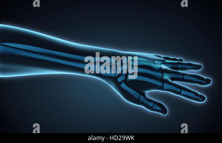 Arteries of the Hand and Wrist Stock Photo: 39487937 - Alamy