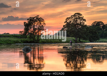 A dramatic sunset is reflected in the water as a fly fisherman casts on the River Wharfe at Appletreewick, Yorkshire Dales, UK Stock Photo