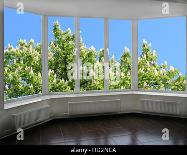 modern window overlooking the blooming chestnut tree in spring Stock Photo