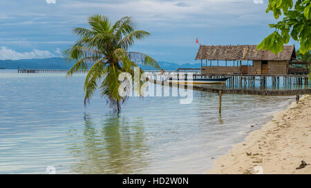 Coconut Palms near Diving Station on Kri Island, Raja Ampat, Indonesia, West Papua Stock Photo