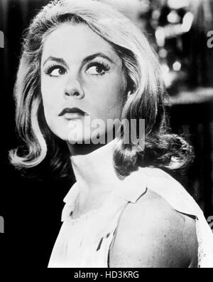 BEWITCHED, Elizabeth Montgomery, 1964-72 Stock Photo - Alamy